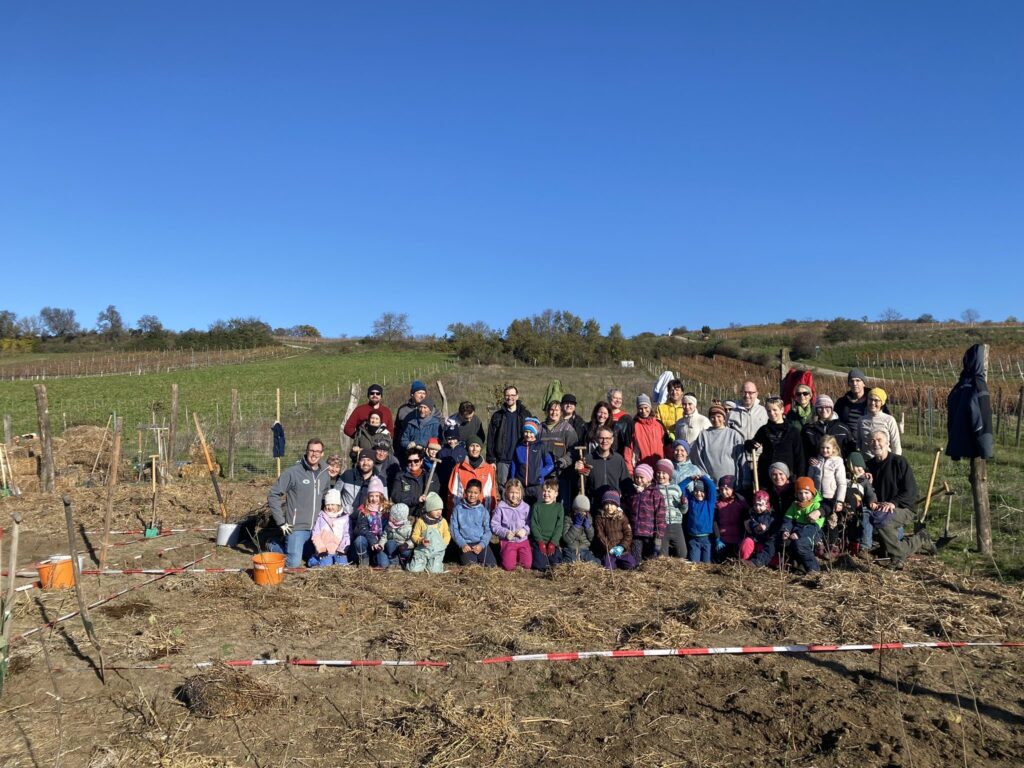 Obersdorf (Tetzenberg) fertig gepflanzt