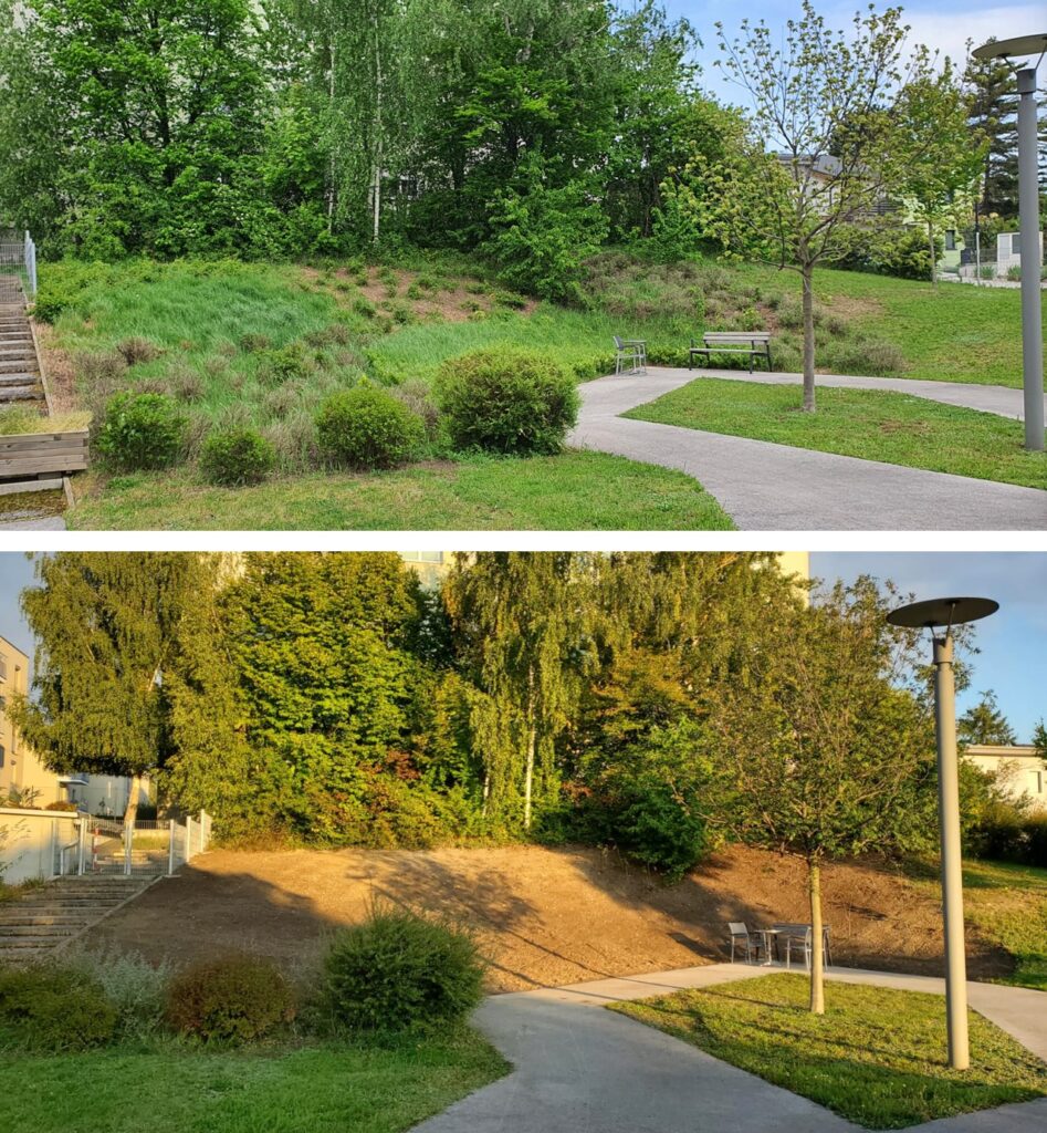 Mini-Wald im Garten des PBZ