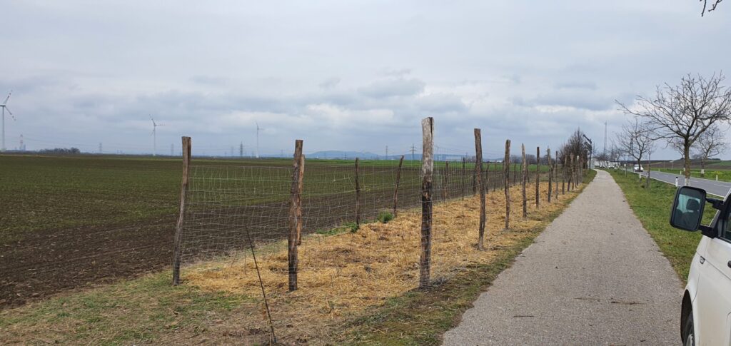 Ein zweiter Mini-Wald entlang des Euro Velo Radwegs