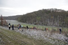 Citizens-Forests_Pflanz-1_20221119_014