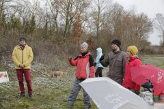 Citizens-Forests_Pflanz-1_20221119_035