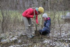 Citizens-Forests_Pflanz-1_20221119_059