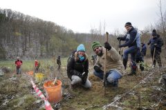 Citizens-Forests_Pflanz-1_20221119_071