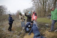 Citizens-Forests_Pflanz-1_20221119_081