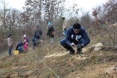Citizens-Forests_Pflanz-1_20221119_137