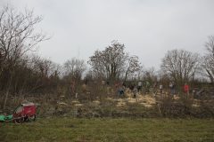 Citizens-Forests_Pflanz-1_20221119_153