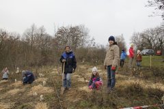 Citizens-Forests_Pflanz-1_20221119_185