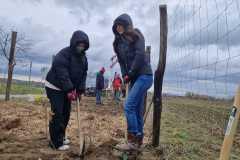 IMG-20241120-WA0018
