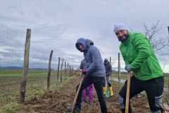 IMG-20241120-WA0021