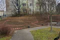 IMG-20251126-WA0012