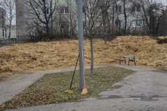 IMG-20251126-WA0013